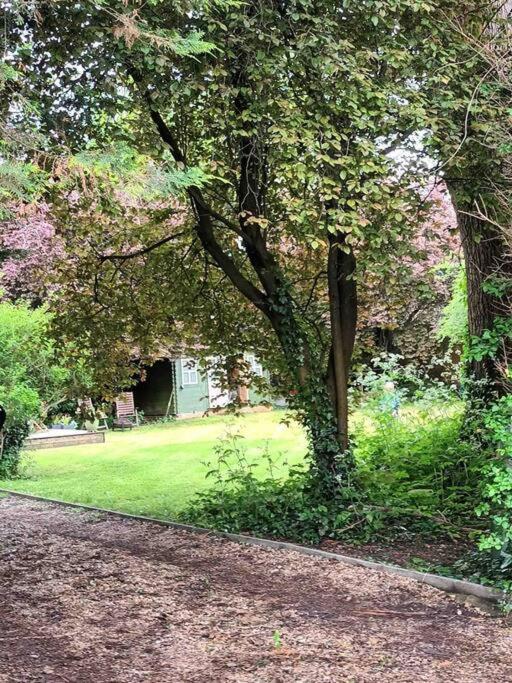 River Cabin Retreat Shepperton Dış mekan fotoğraf