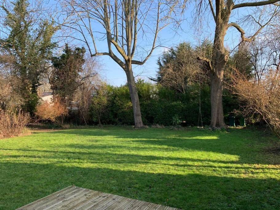 River Cabin Retreat Shepperton Dış mekan fotoğraf